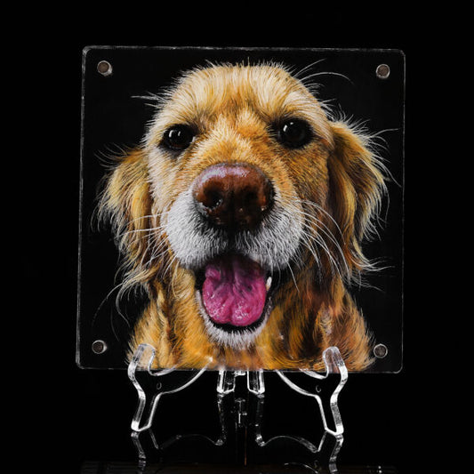 3D Glass Pet Painting