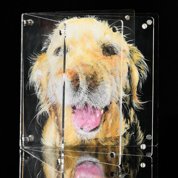 3D Glass Pet Painting