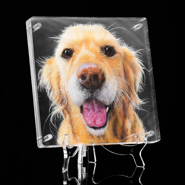 3D Glass Pet Painting