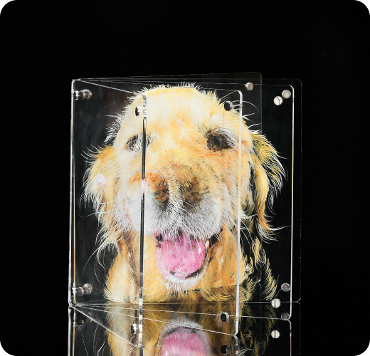 3D Glass Pet Painting