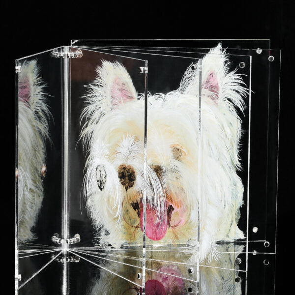 3D Glass Pet Painting