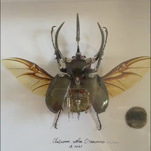 Load and play video in Gallery viewer, Steampunk Beetle Insect Robots Chalcosoma Atlas Powered

