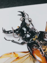 Load and play video in Gallery viewer, Steampunk Cyborg Mechanical Beetle Insects Bugs Kinetic
