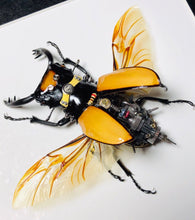 Load image into Gallery viewer, Steampunk Beetle Insect Machine Kinetic Sculpture Clockwor
