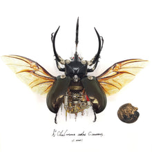 Load image into Gallery viewer, Steampunk Beetle Insect Robots Chalcosoma Atlas Powered

