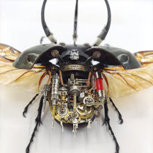Load image into Gallery viewer, Steampunk Beetle Insect Robots Chalcosoma Atlas Powered
