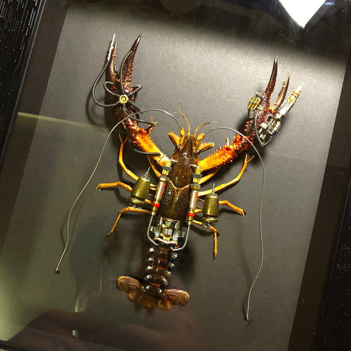 Crayfish Mechanical Mutant 3D Robot Creature Animals